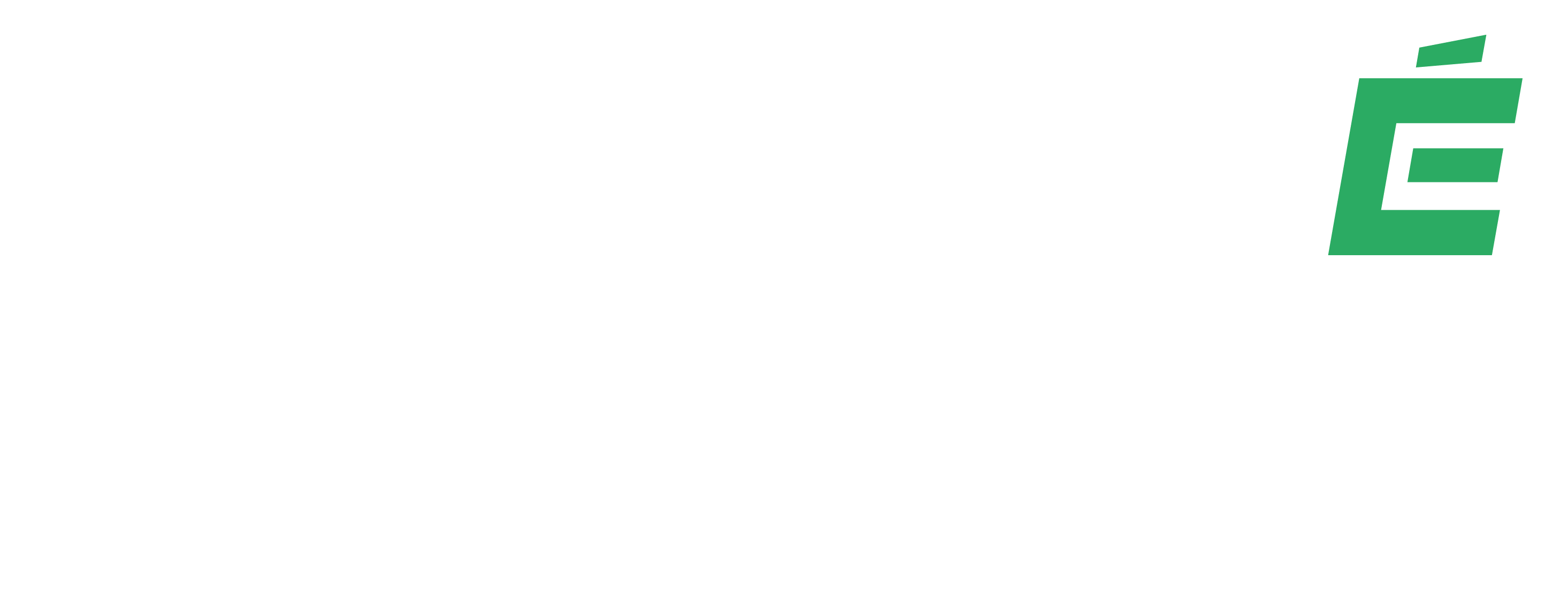 Logo Blanc Mobilite 360 Conseil durable durabilité éléctrique vert mobilité Voiture Satigny Genève-min